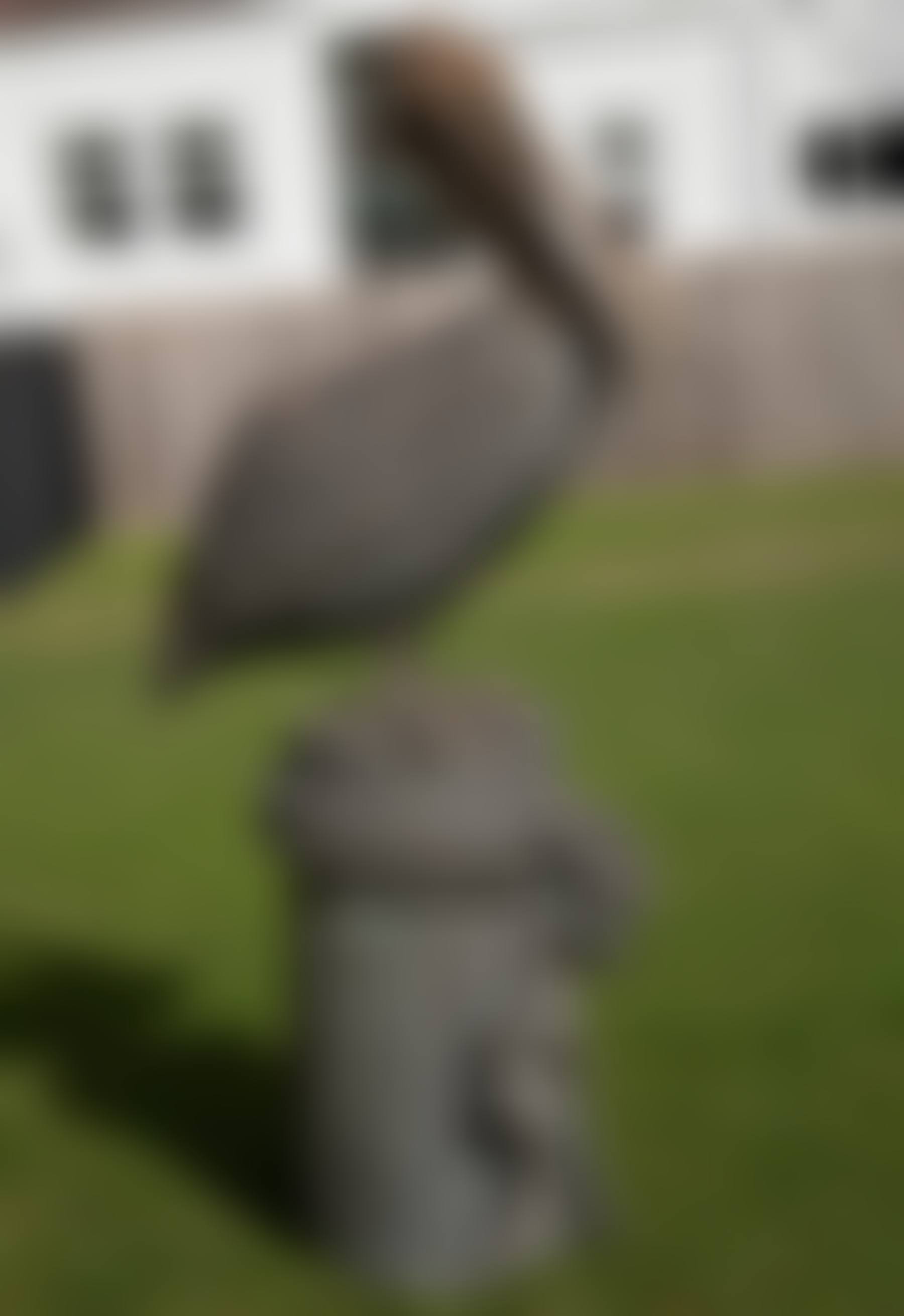 American Patinated Bronze Figural Pelican Fountain (preview)