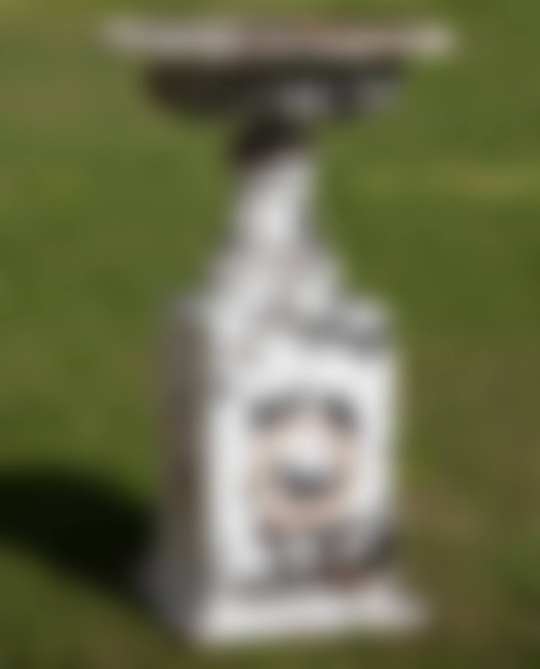 Large American Painted Cast Iron Campagna-Form Garden Urn (preview)
