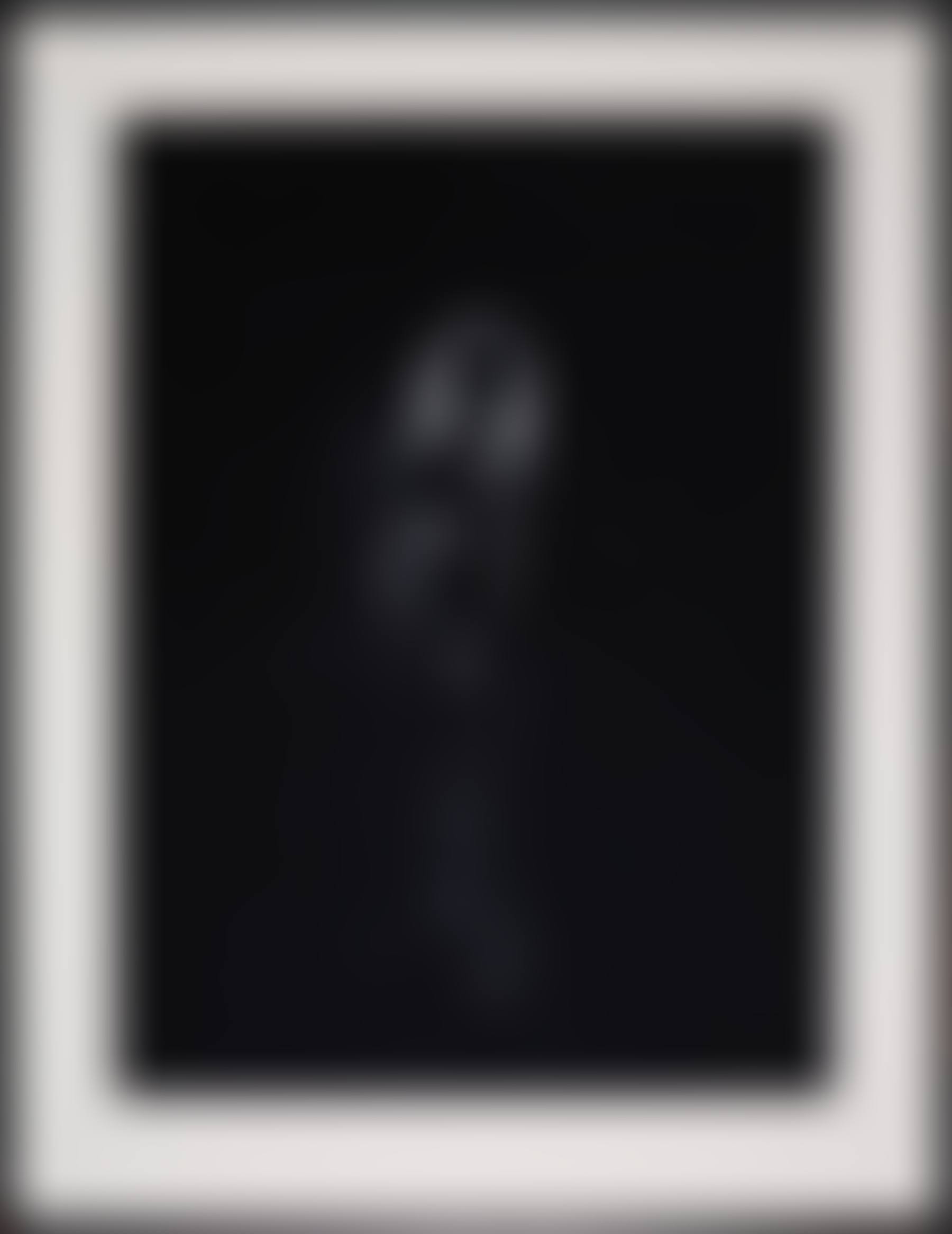 "Spinster Series VIII" (preview)