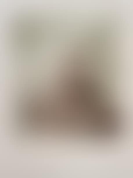 Plate for L"ETANG by Jean LECUIRE 1972 (preview)