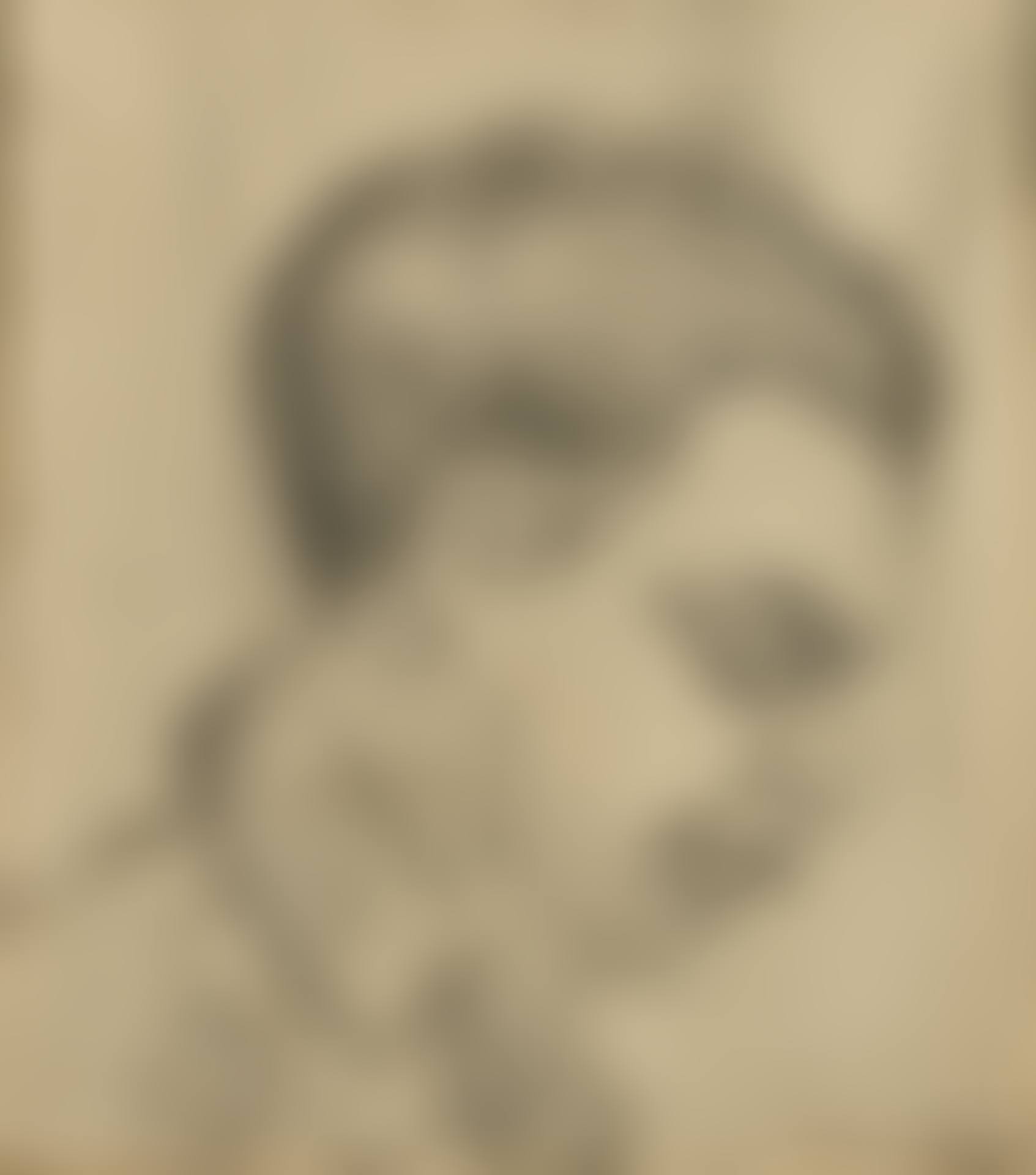 Recto: Portrait of a young man (preview)