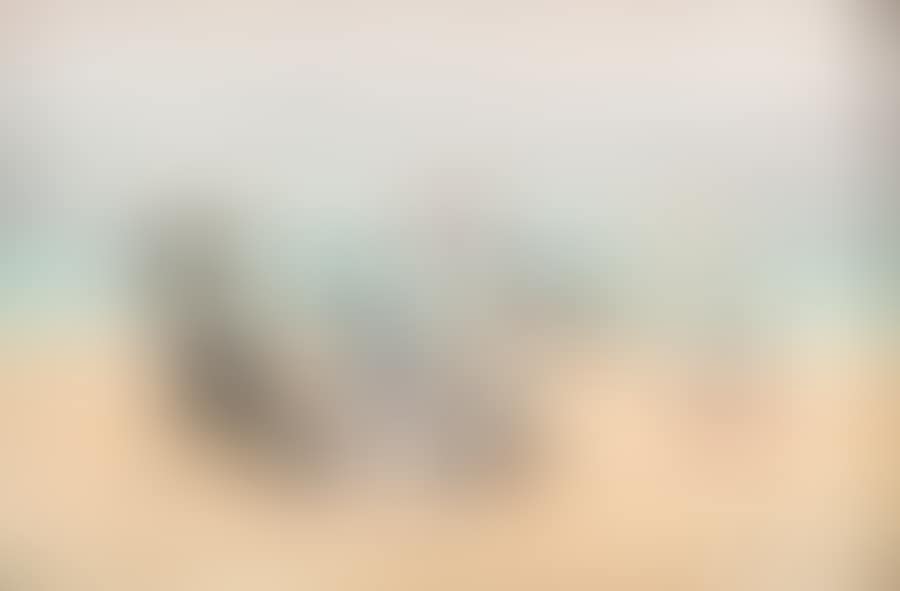 On the beach (preview)
