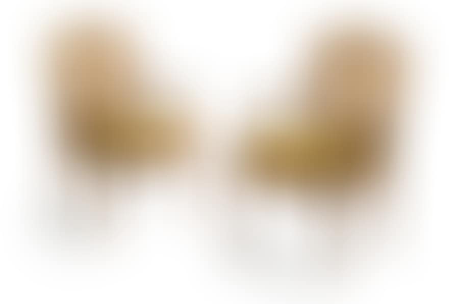 Pair of armchairs with cane bases in molded wood (preview)