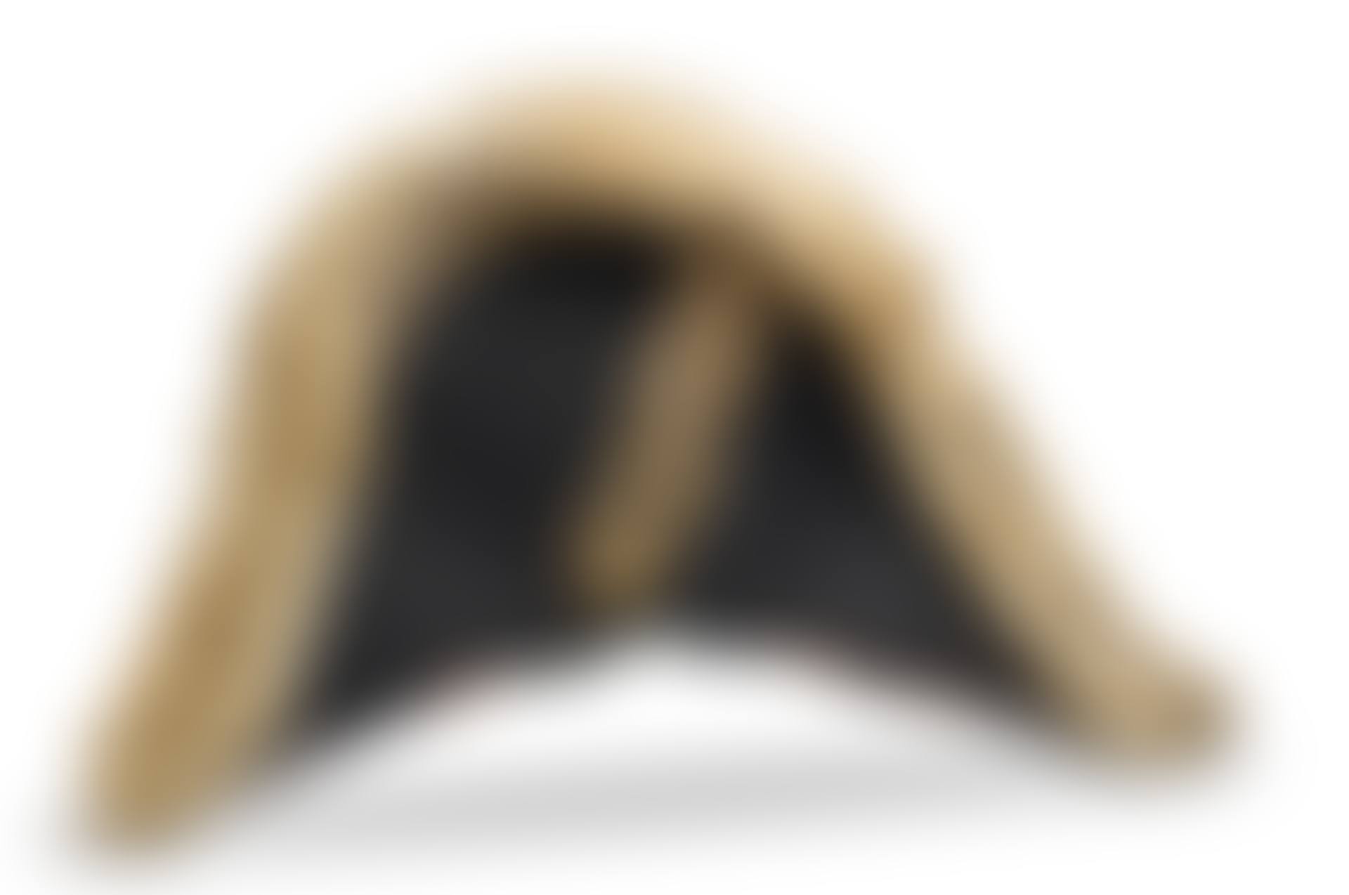 Bicorn of an officer of the Empire from the reign of Nicolas I (preview)
