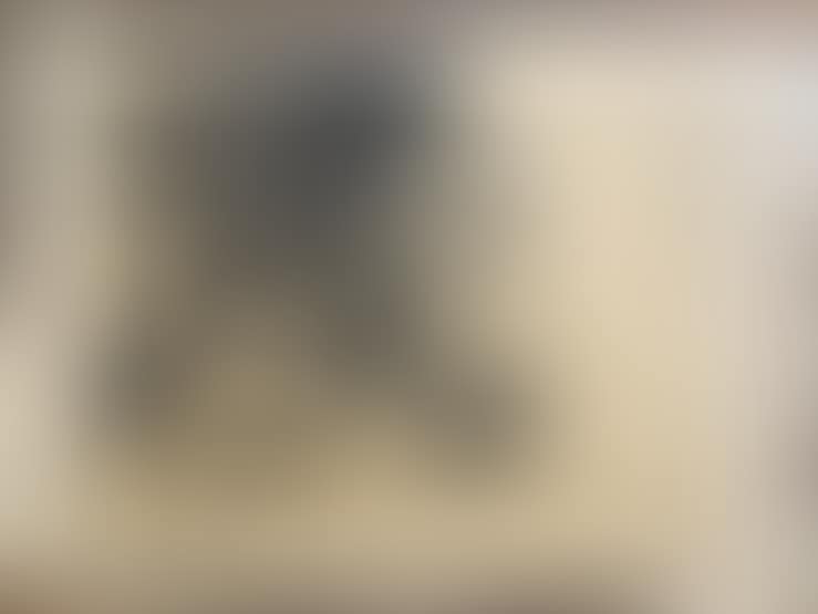 Set of 2 unsigned color reproductions (preview)