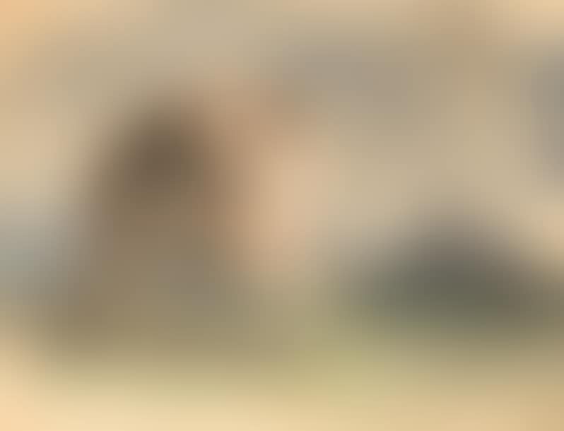 Recto: love of centaurs (preview)