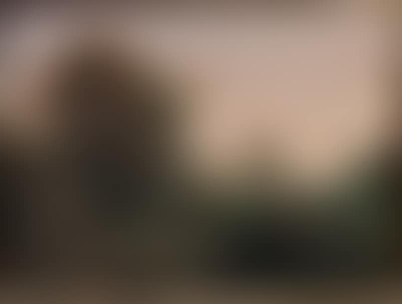 Country landscape (preview)