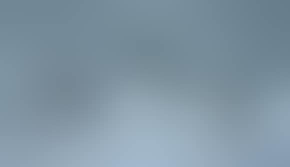 “Asters No. 2” bowl (preview)