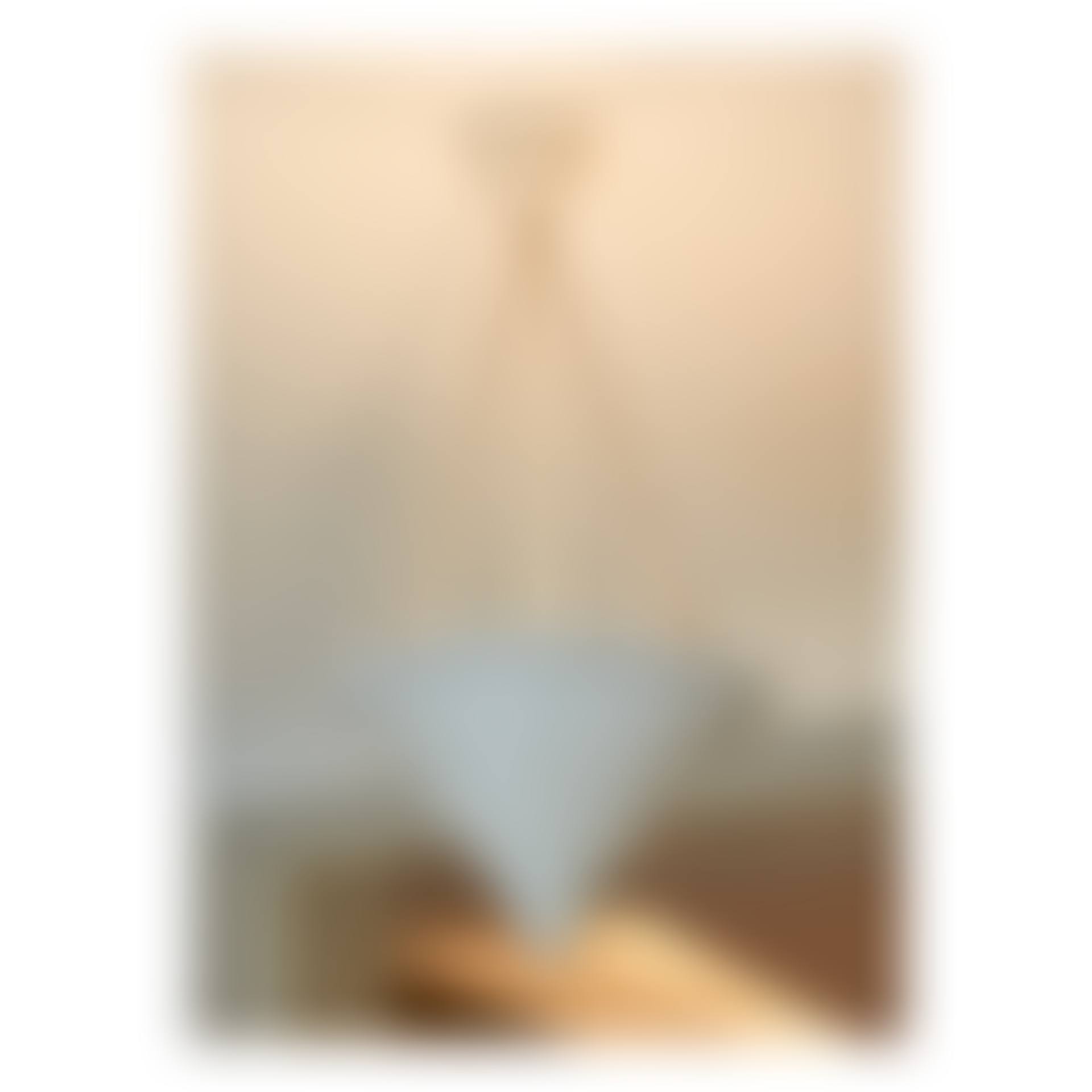 Ceiling Light (preview)