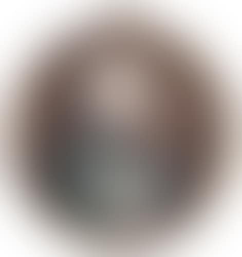 Portrait of a hussar officer (preview)