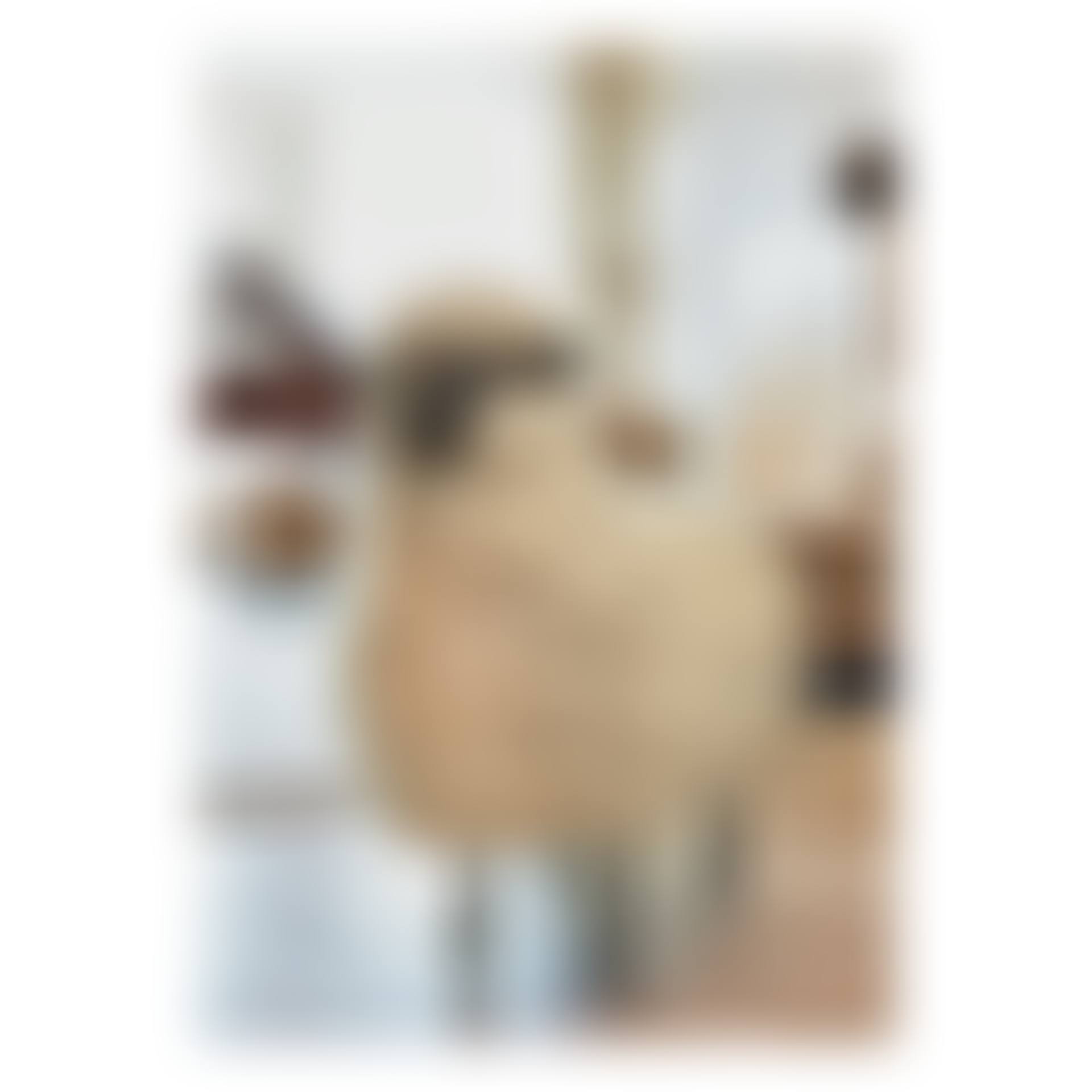 Mouton de Laine (preview)