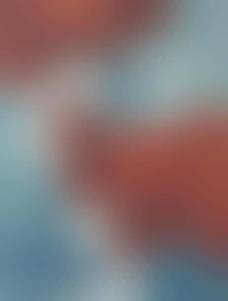 Composition (preview)