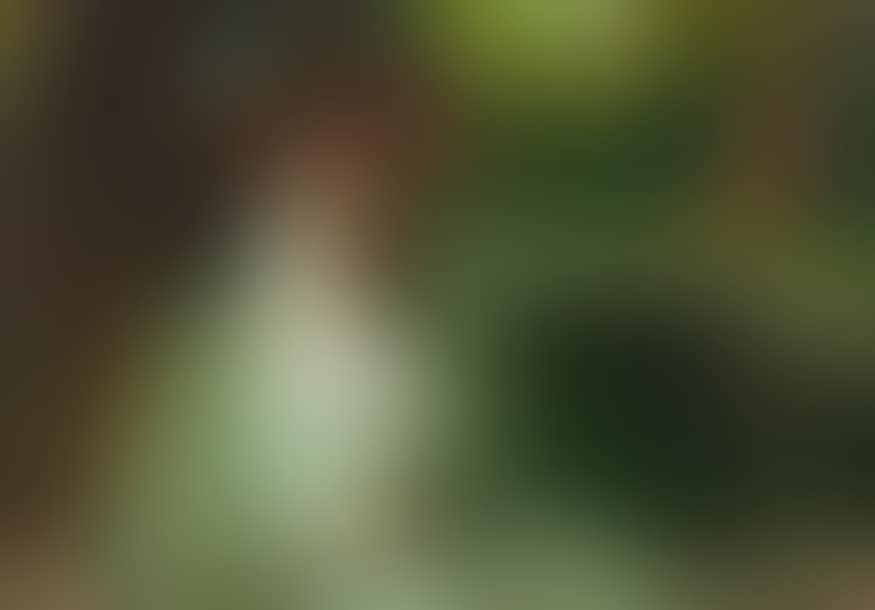 Elégante (preview)