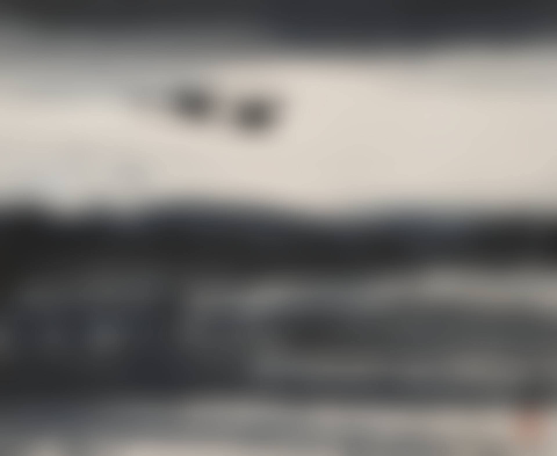 Flying Goose (preview)