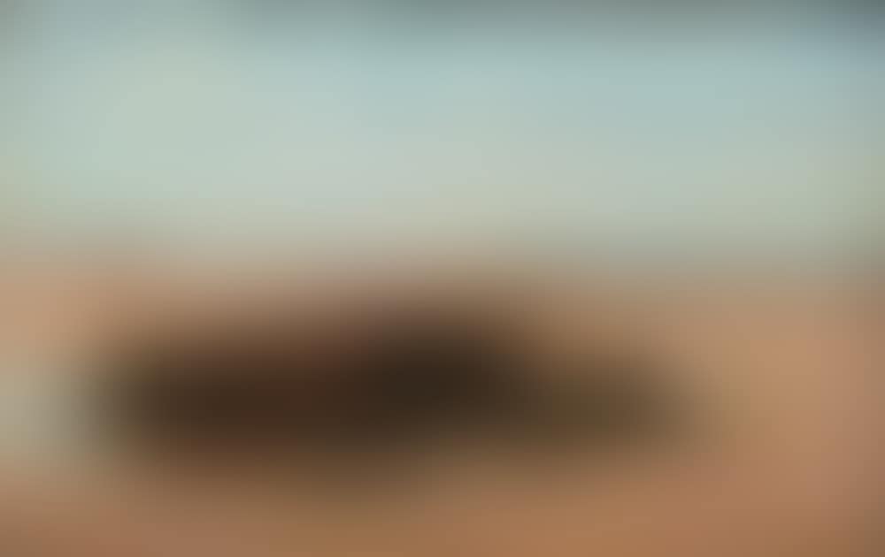 ON THE SHORE, CO ANTRIM (preview)