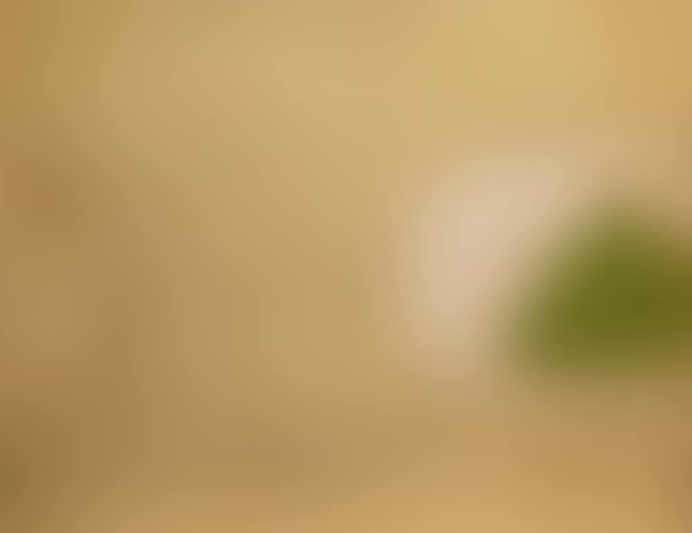 PEAR AND GRAPES (preview)