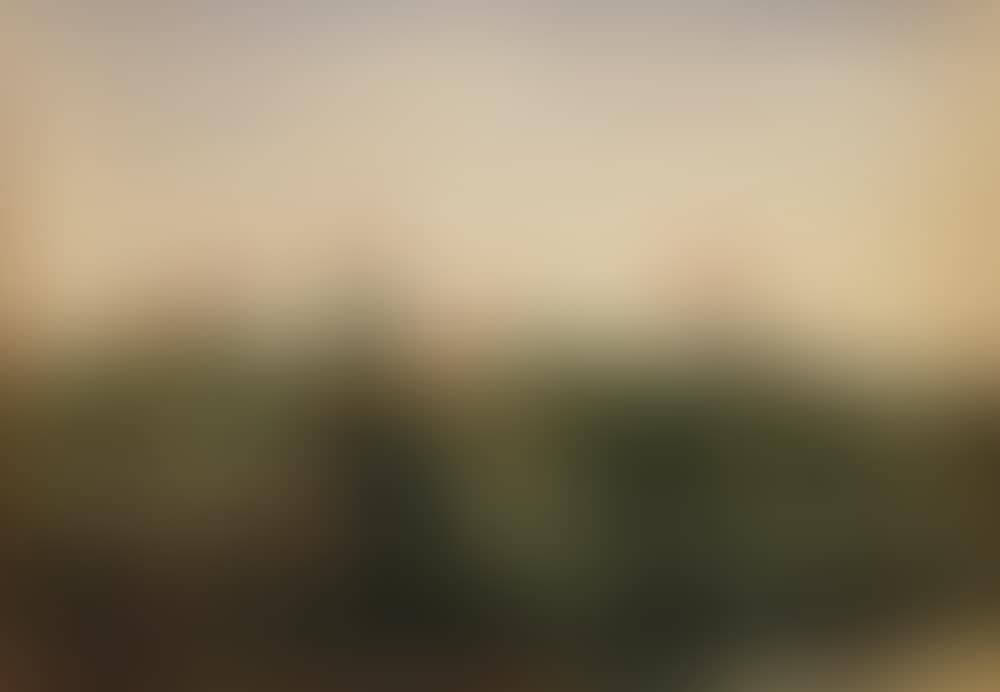 BANK OF WILD FLOWERS (preview)