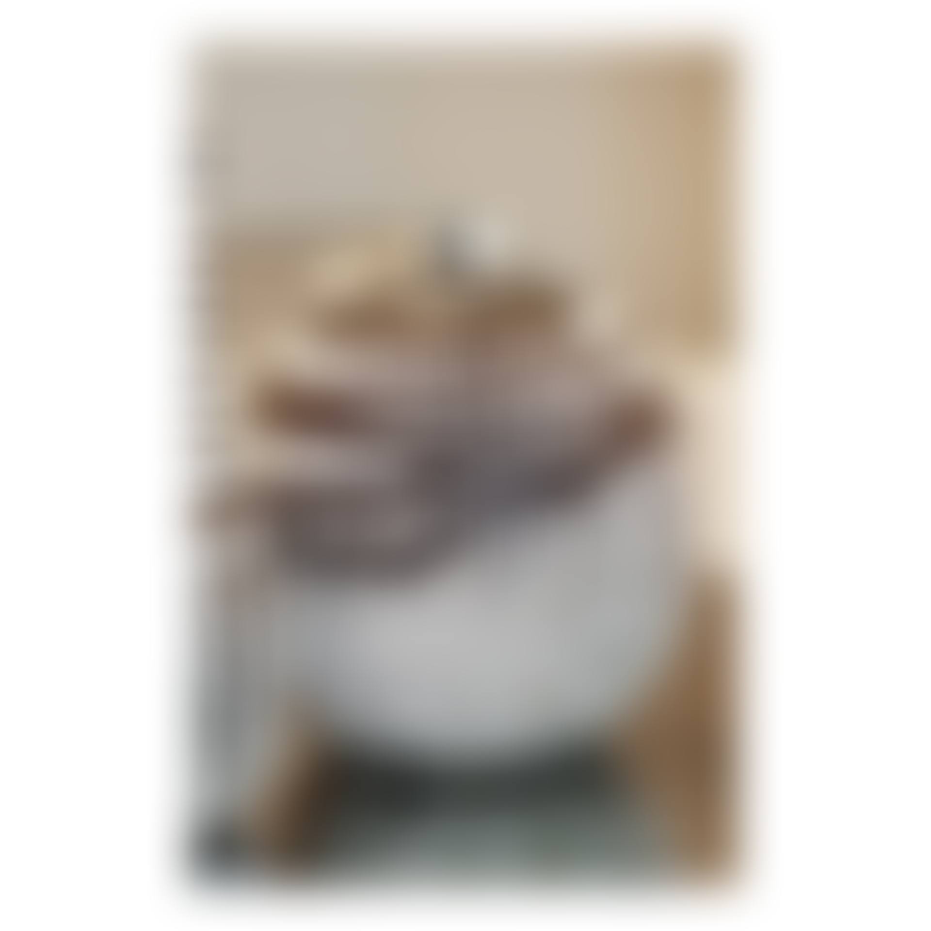 Vase (preview)