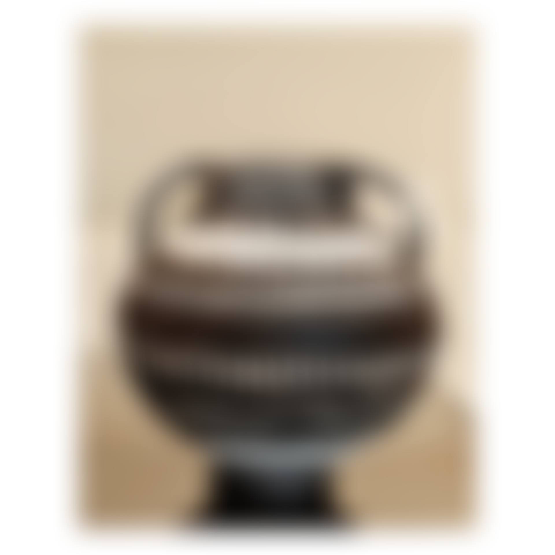 Two-Handled Vase (preview)