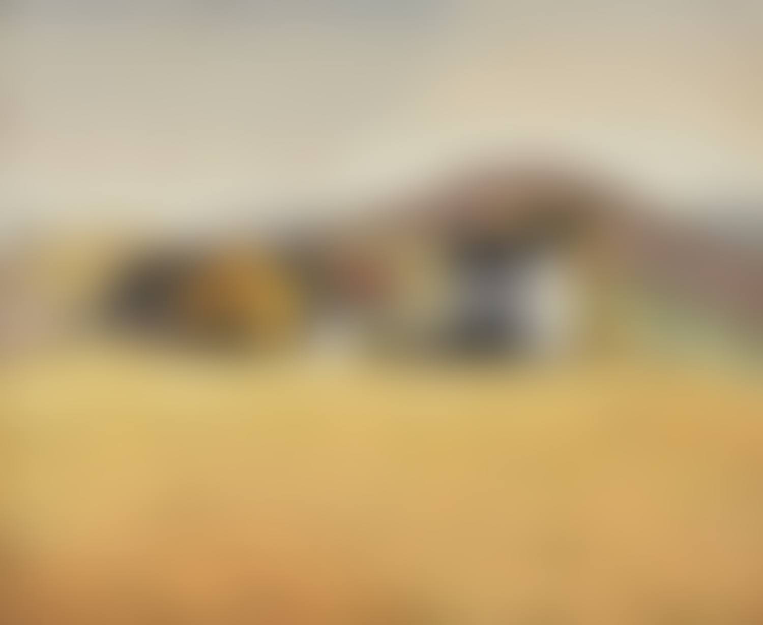 DROUGHT, OXFORDSHIRE (preview)