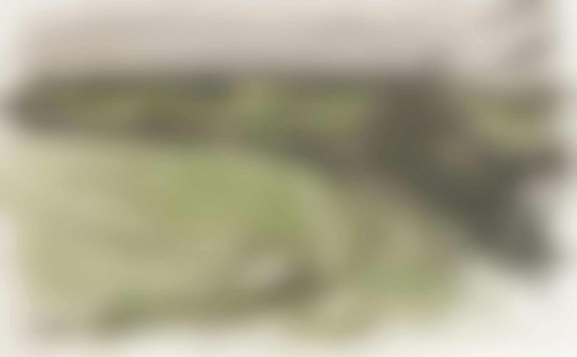 "TRACK DOWN TO VALLEY FARM" (preview)