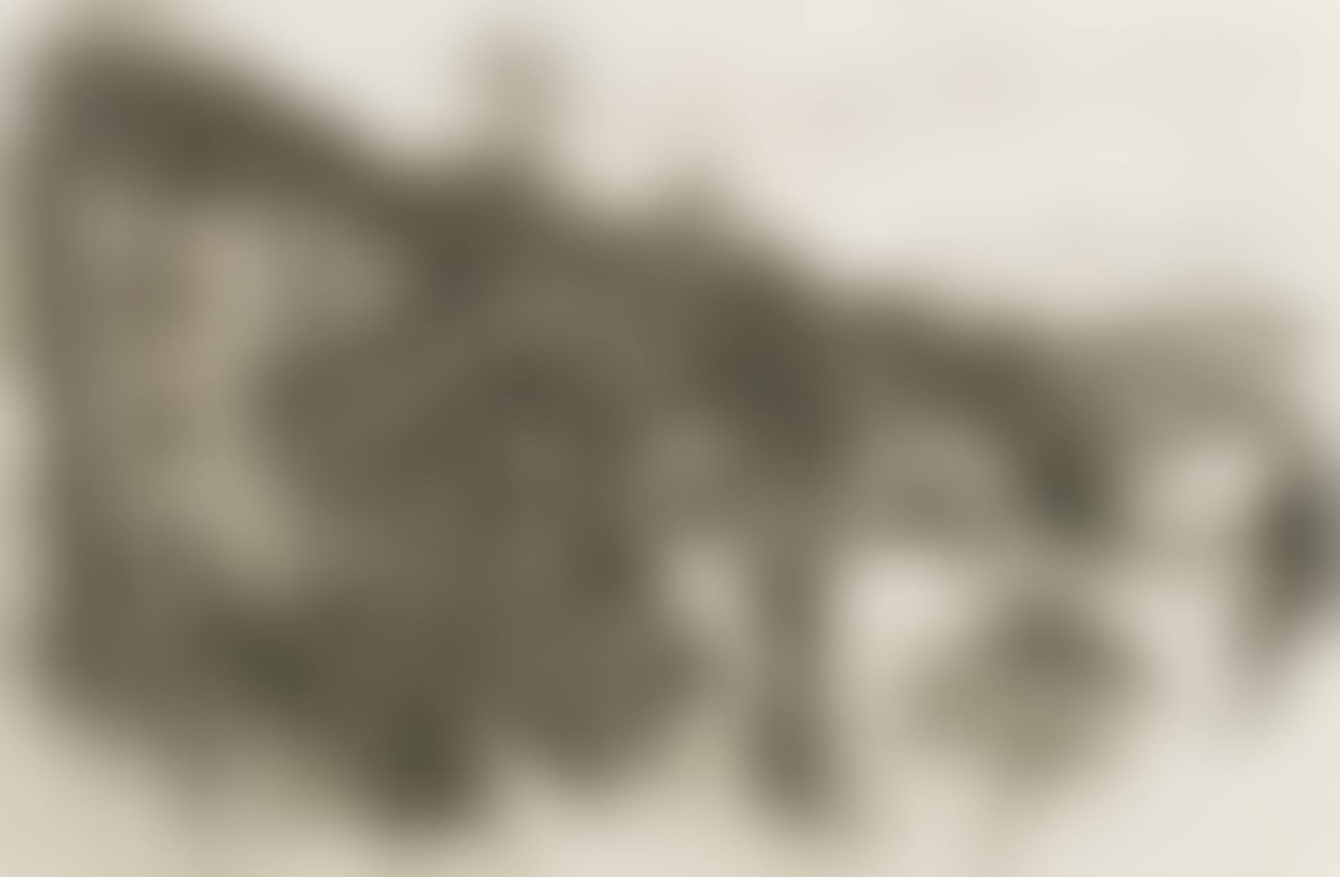 HILLSIDE (preview)