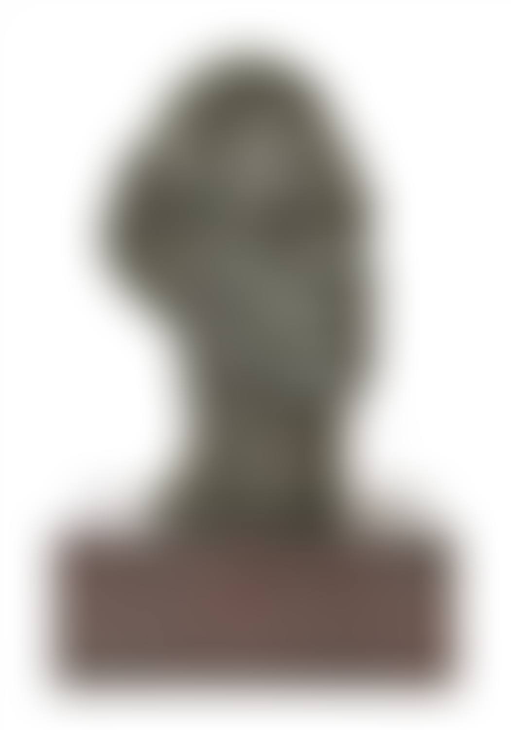PORTRAIT OF A YOUNG MAN (preview)