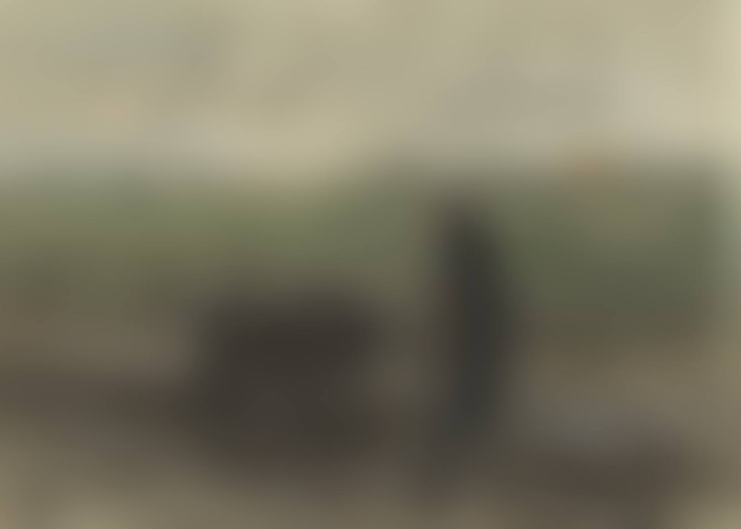 Returning from the fields (preview)