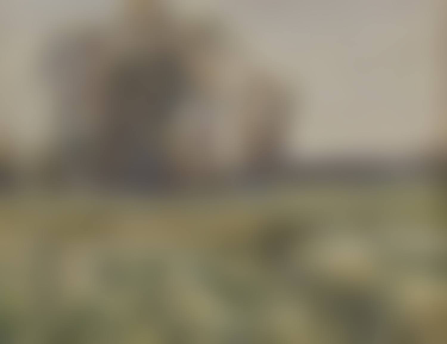 A stream through a meadow, a clump of trees beyond (preview)
