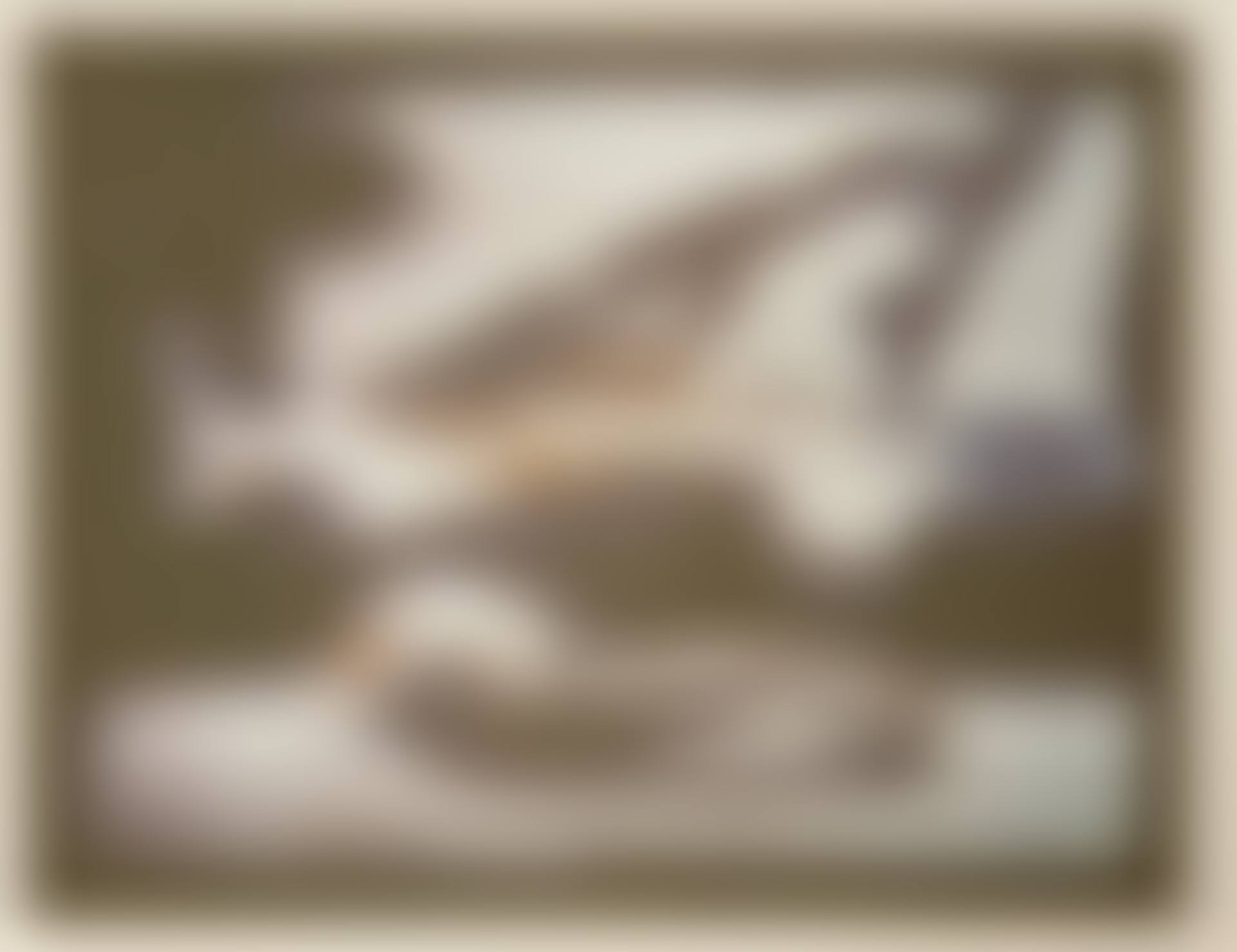 "KENT STATE" (Lullin 77) (preview)