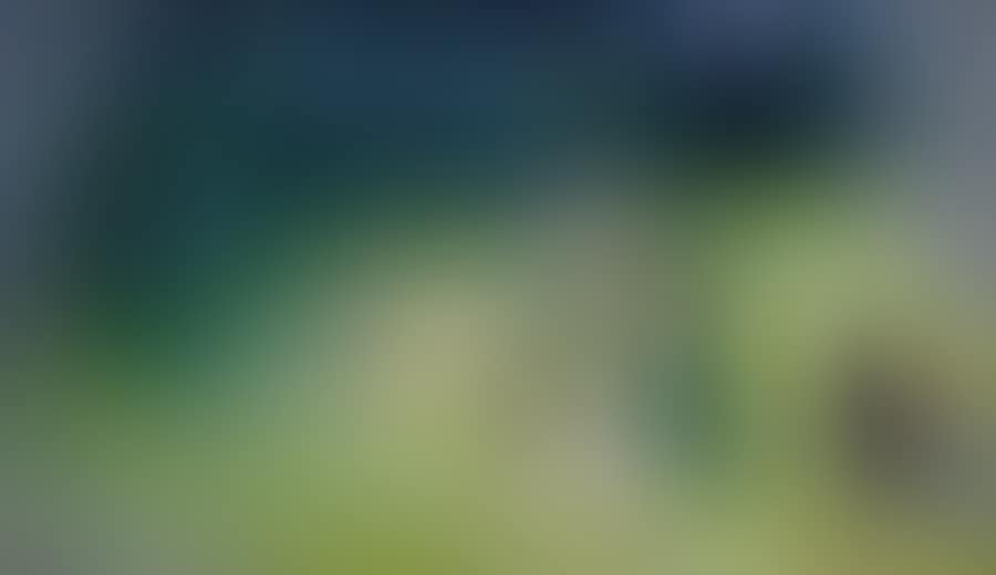 Haying (preview)