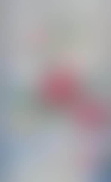 VASE OF ROSES (preview)