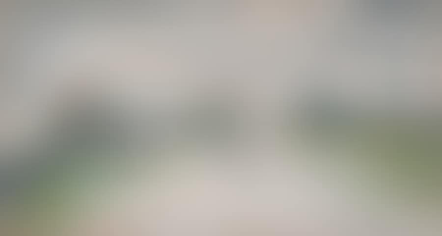 THE HERD OF COWS IN SAINT-PARIZE-LE-CHATEL (Nièvre) (preview)