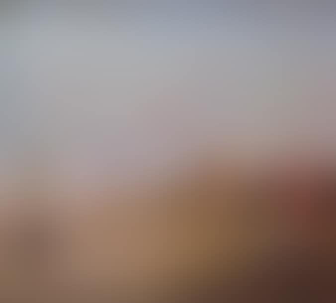Vue de la Saluté (preview)