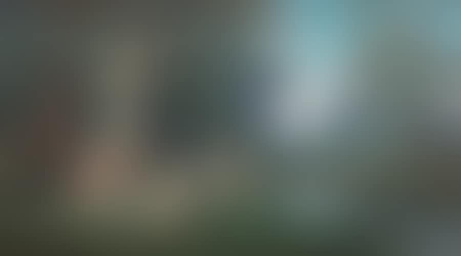 Paysage aux amours (preview)