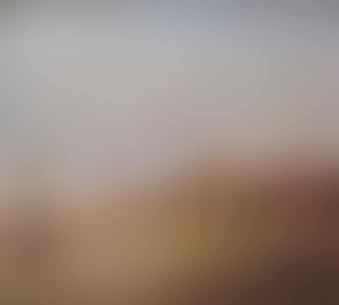 Vue de la Saluté (preview)