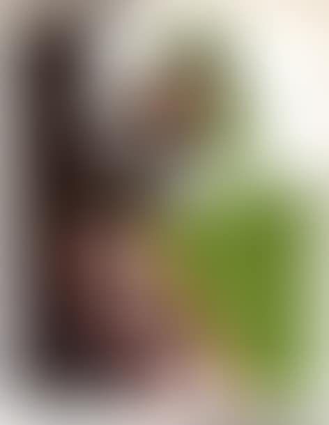 Untitled (preview)