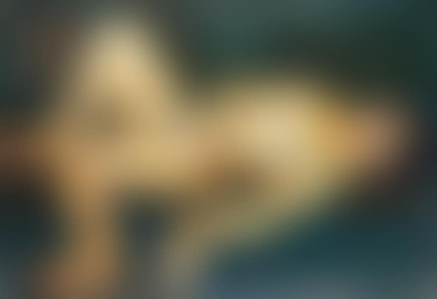 NUDE EXTENDED (preview)