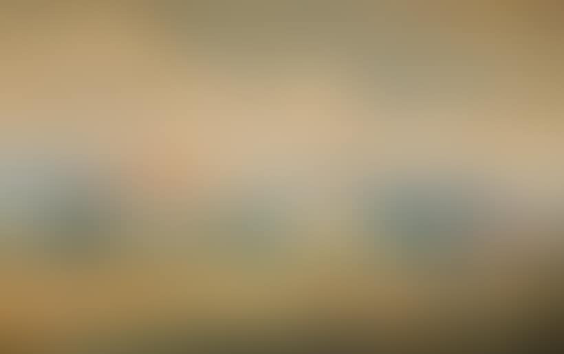 Flowering fields (preview)