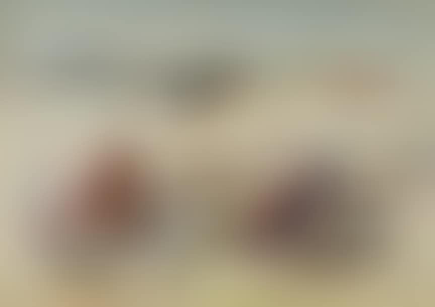 The port (preview)