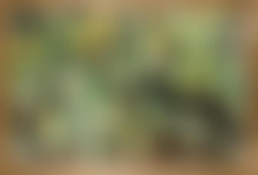 Composition (Black Yellow Green) (preview)