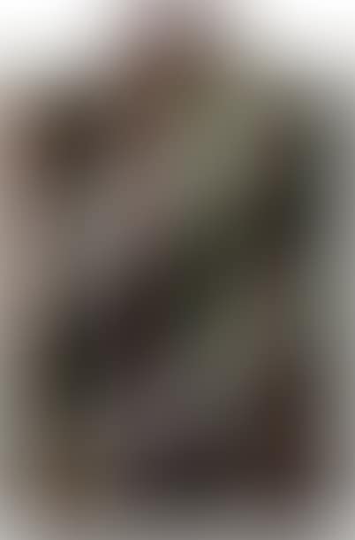 "Who said that this is what I DOED IS MOCHE" (preview)