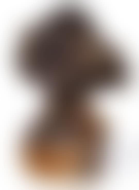 Portrait of Mr. AF (preview)