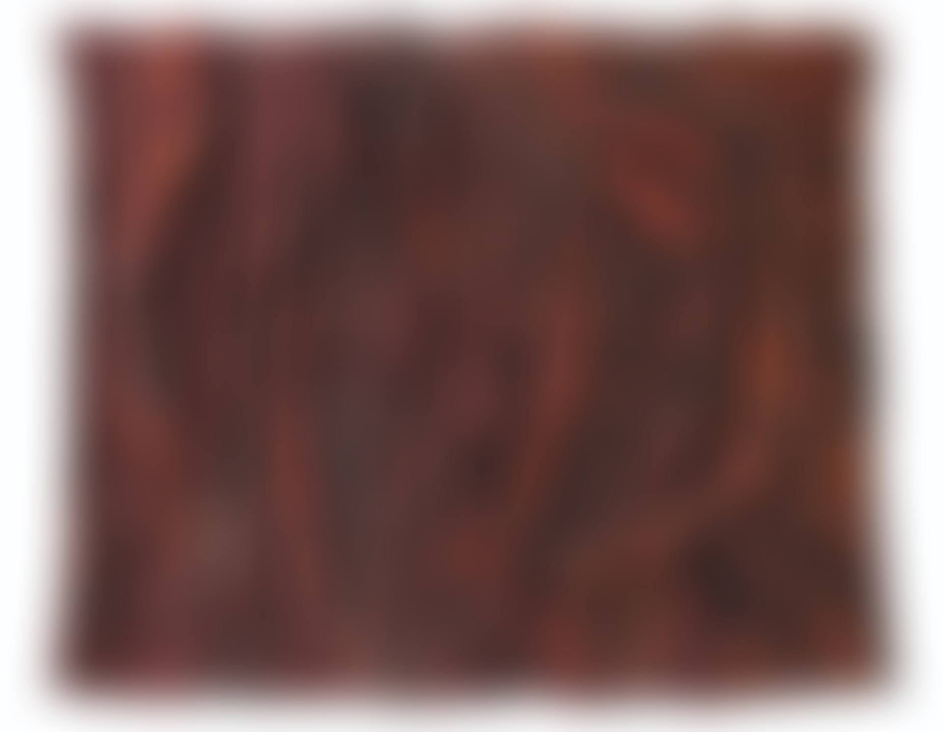 Relief sombre de stefa (preview)