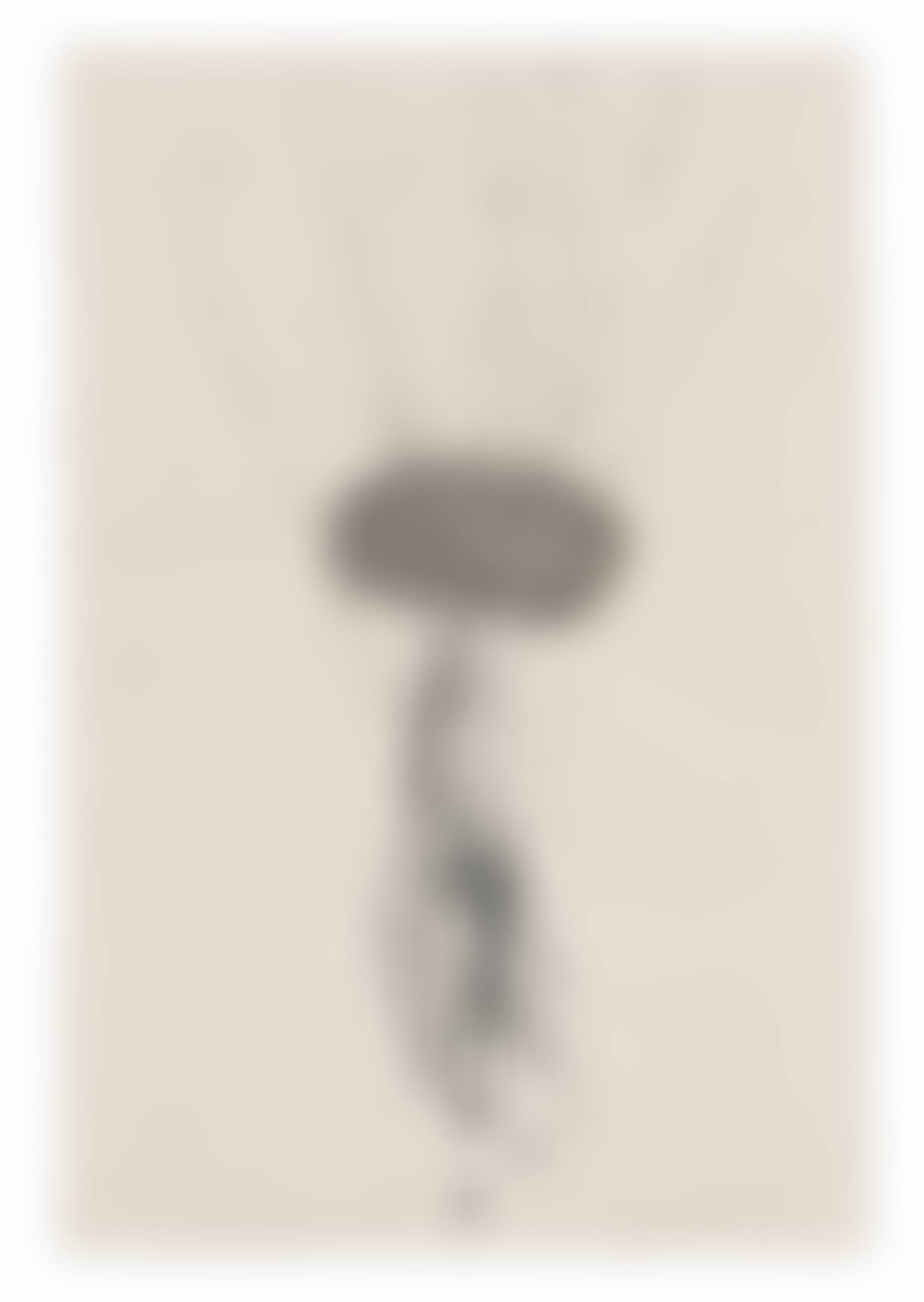Idee di pietra tra le mani-medio (Ideas of Stone in Hands - Middle Finger) (preview)