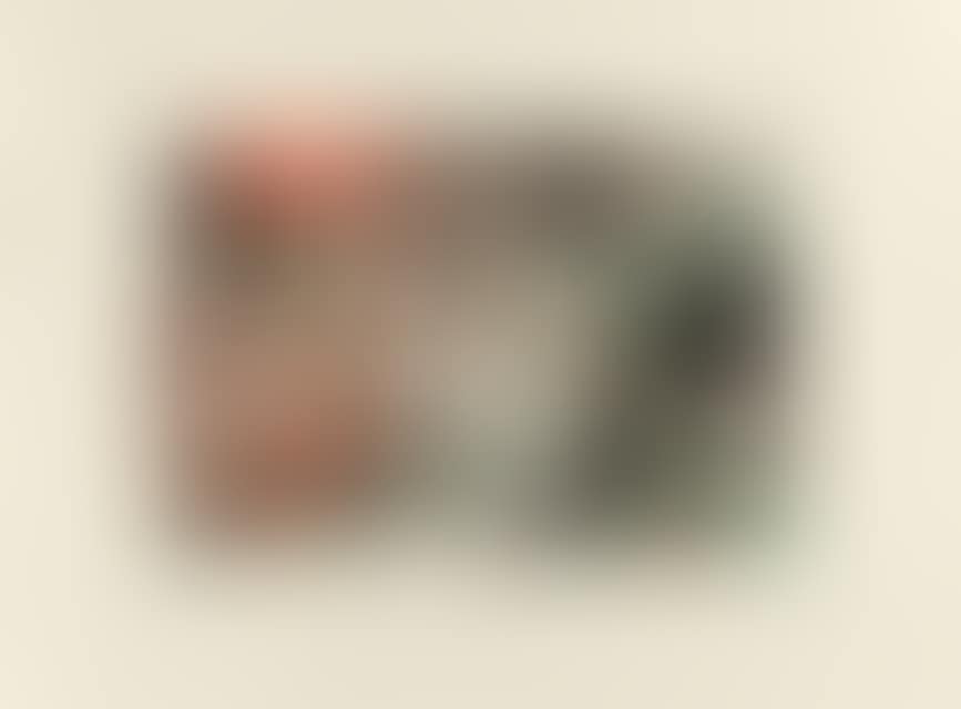 Birth of horses (preview)