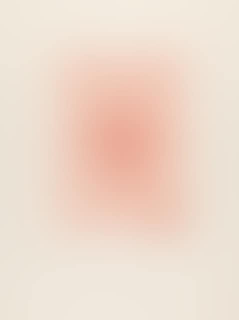Episode of 16 sheets x The architecture of the Orgies Mysteries Theater. (preview)