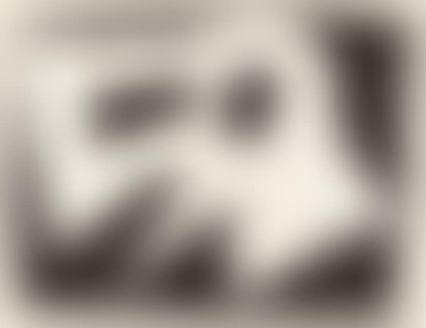 Bird Mask (Large Version) (preview)