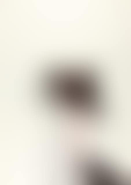Episode of 36 sheets x The architecture of the Orgies Mysteries Theater. (preview)