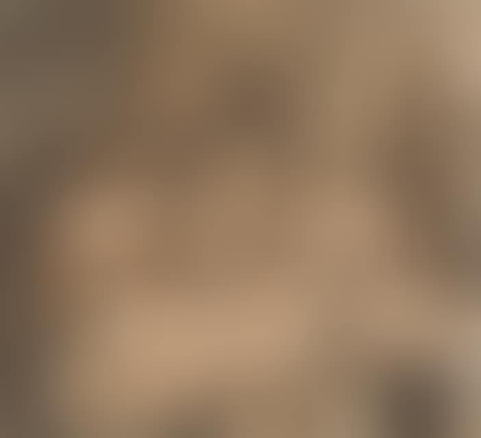 The Adoration of the Shepherds. (preview)